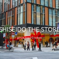 SHISEIDO THE STORE